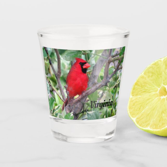 Vaso De Chupito Cardenal Norte - Cristal de disparo de aves del es (Anverso)