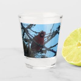 Vaso De Chupito Cardinal