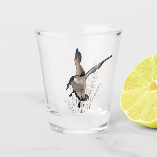 Vaso De Chupito Cerdo de Canadá, arte (Anverso)