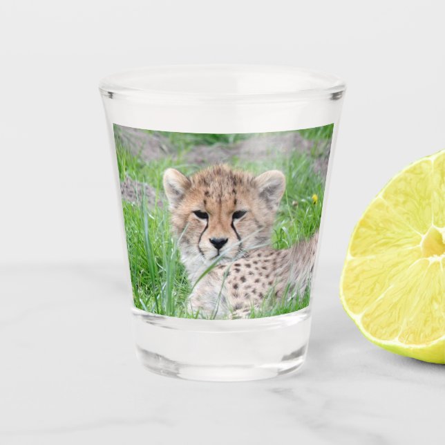 Vaso De Chupito Cheetah 002 (Anverso)