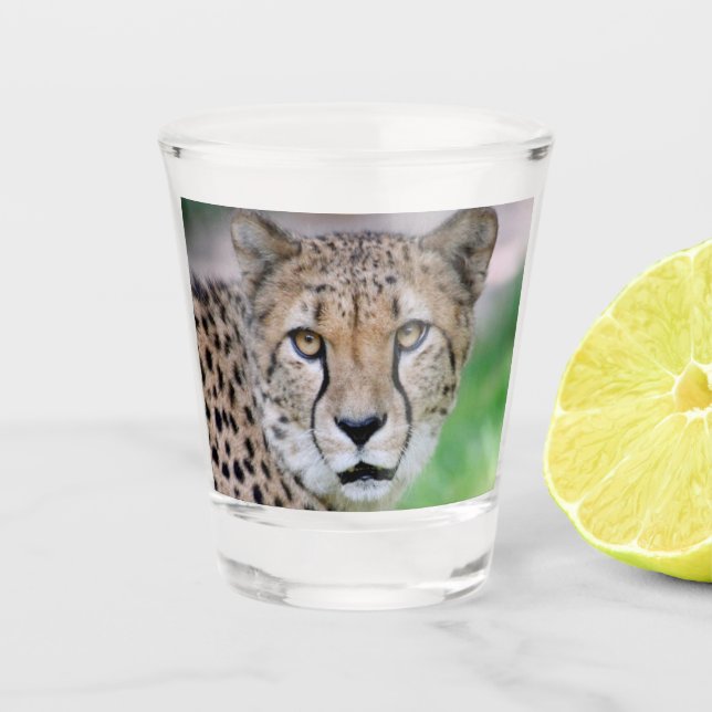 Vaso De Chupito Cheetah 009 (Anverso)