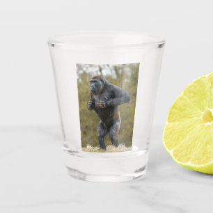 Vaso De Chupito Chest Beating Gorilla