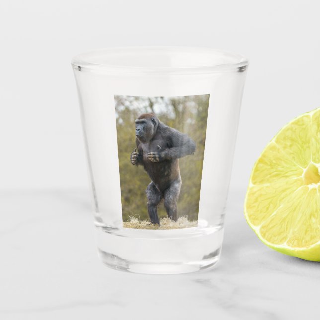 Vaso De Chupito Chest Beating Gorilla (Anverso)