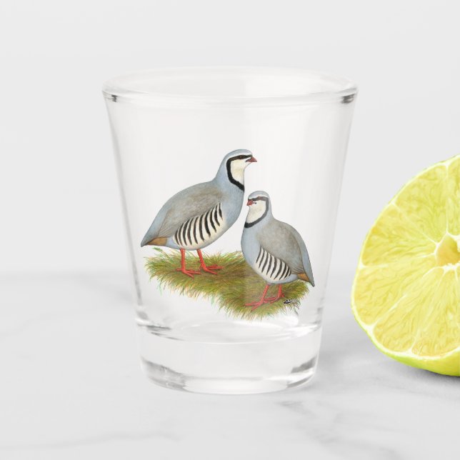 Vaso De Chupito Chukar Partridge Pair (Anverso)