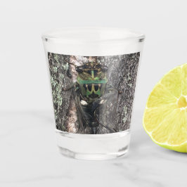 Vaso De Chupito Cicada Shot Glass