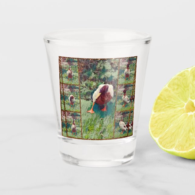 Vaso De Chupito Collage de fotos de pato amargo, vidrio caliente (Anverso)