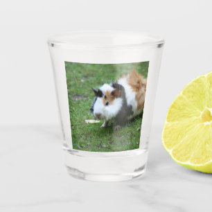 Vaso De Chupito conejillo de Indias precioso