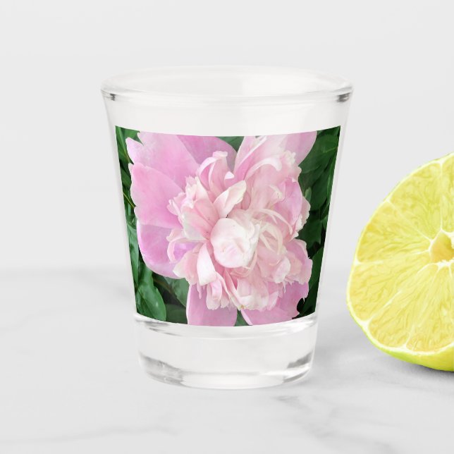 Vaso De Chupito Copa de chupito de peonía (Anverso)