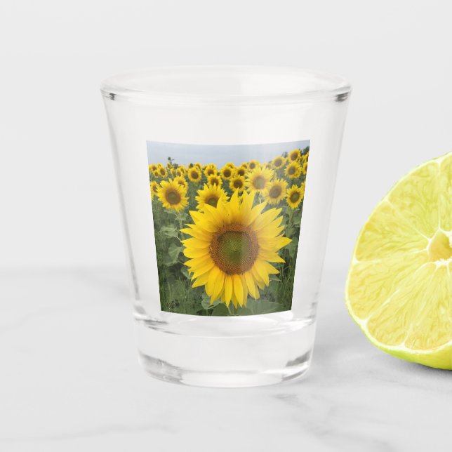 Vaso De Chupito Cosecha de girasol amarillo (Anverso)