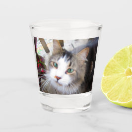 Vaso De Chupito Crea Fácilmente Tu Propia Foto Personalizada