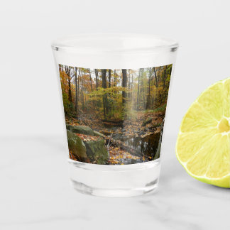 Vaso De Chupito Creek otoñal con reflexión en Laurel Hill Park