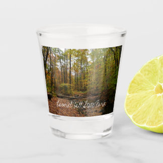 Vaso De Chupito Creek otoñal en el Parque Estatal Laurel Hill en P