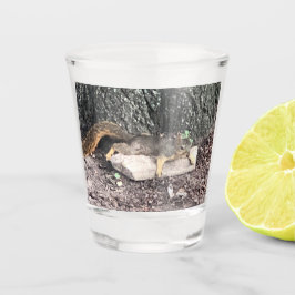 Vaso De Chupito Cristal de disparo de ardilla