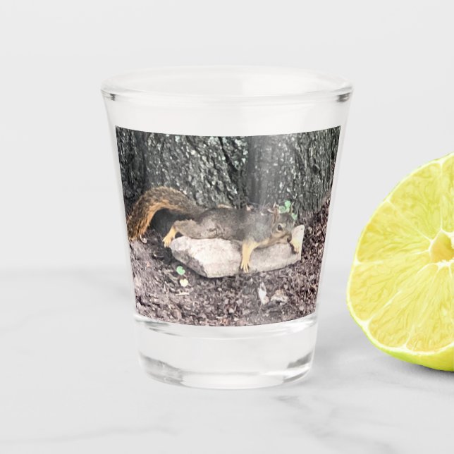 Vaso De Chupito Cristal de disparo de ardilla (Anverso)