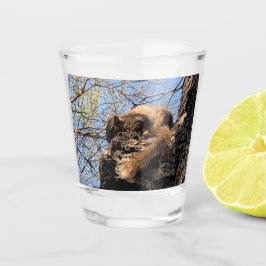 Vaso De Chupito Cristal de disparo de ardilla