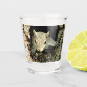 Vaso De Chupito Cristal de disparo de la aguja de la ardilla