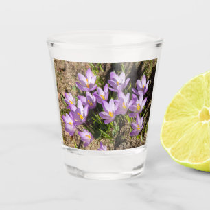 Vaso De Chupito Cruces elásticos