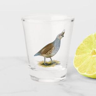 Vaso De Chupito Cual escalada