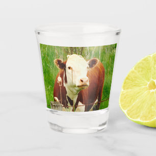 Vaso De Chupito Cuidadosamente vaca 4Cate