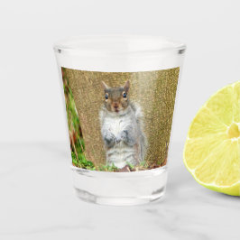 Vaso De Chupito Cute Squirrel