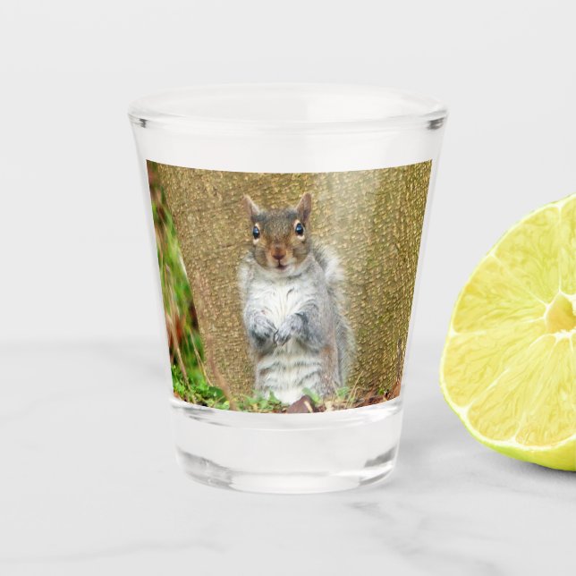 Vaso De Chupito Cute Squirrel (Anverso)
