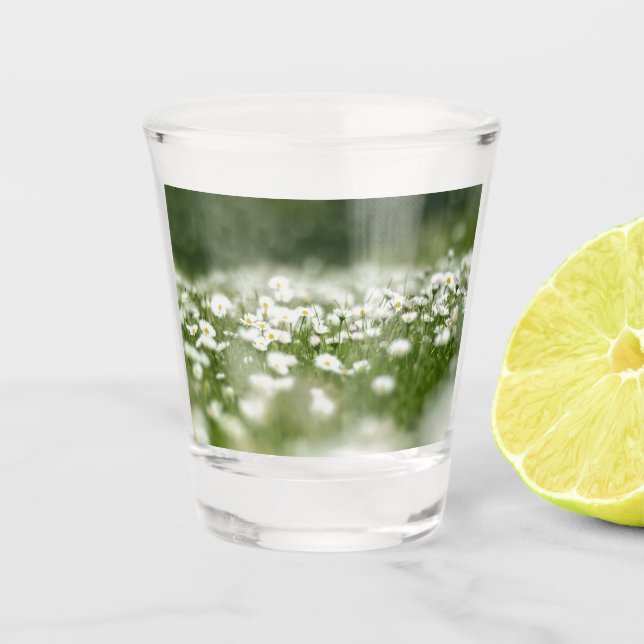 Vaso De Chupito Daisy Meadow (Anverso)