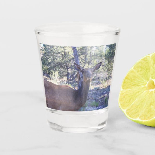Vaso de chupito de alce (Anverso)