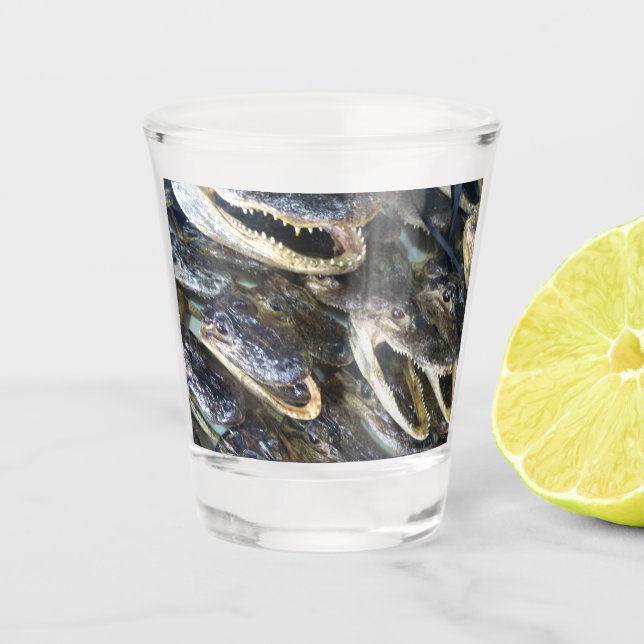Vaso de chupito de caimán (Anverso)