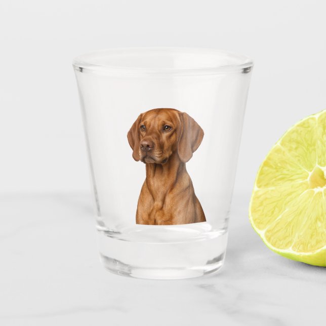 Vaso de chupito de perro Vizsla (Anverso)