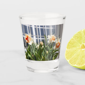 Vaso De Chupito Delicada primavera de daffodils tiernos