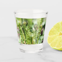 Vaso De Chupito Despertar de helecho joven en el jardín  