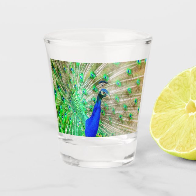Vaso De Chupito Desplome de pavo real (Anverso)