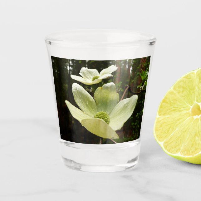 Vaso De Chupito Dogwoods y secuoyas (Anverso)