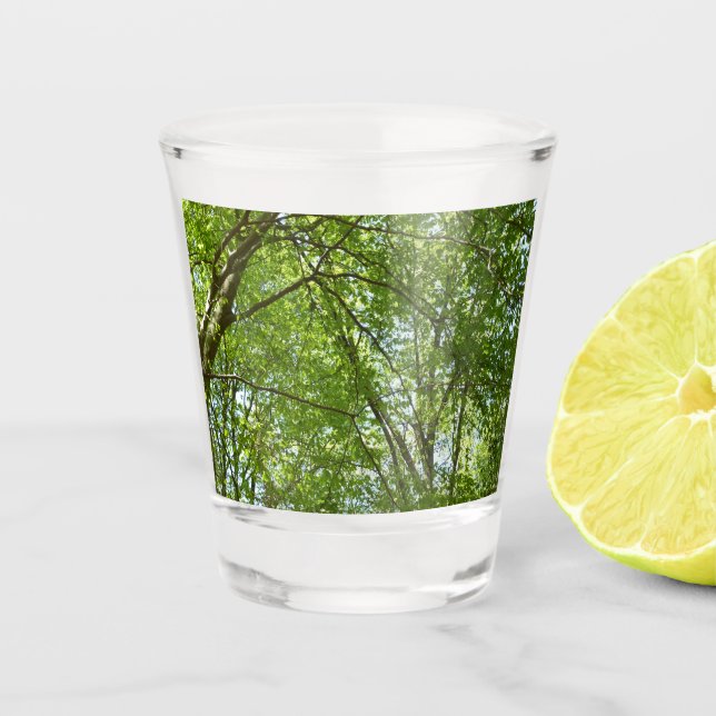 Vaso De Chupito El dosel de la primavera deja la naturaleza verde (Anverso)