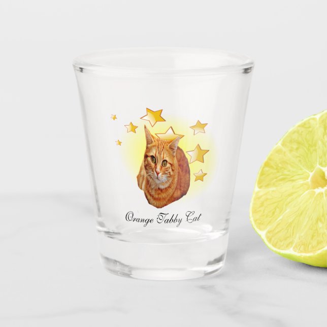 Vaso De Chupito El gato a rayas del naranja es una estrella (Anverso)