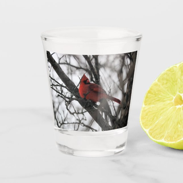 Vaso De Chupito El Sr. (Anverso)