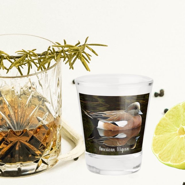 Vaso De Chupito El túmulo de una cirujana estadounidense en un est (In Situ)