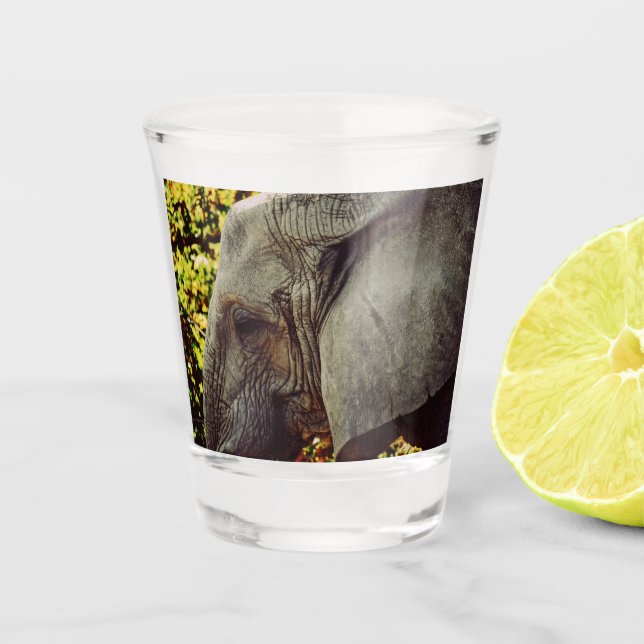 Vaso De Chupito Elefante majestuoso (Anverso)