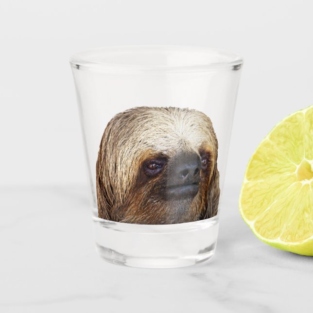 Vaso De Chupito Eslogan (Anverso)