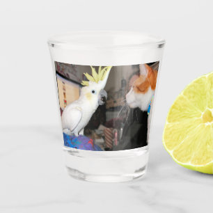 Vaso De Chupito Está bien.hacer que parezca grande