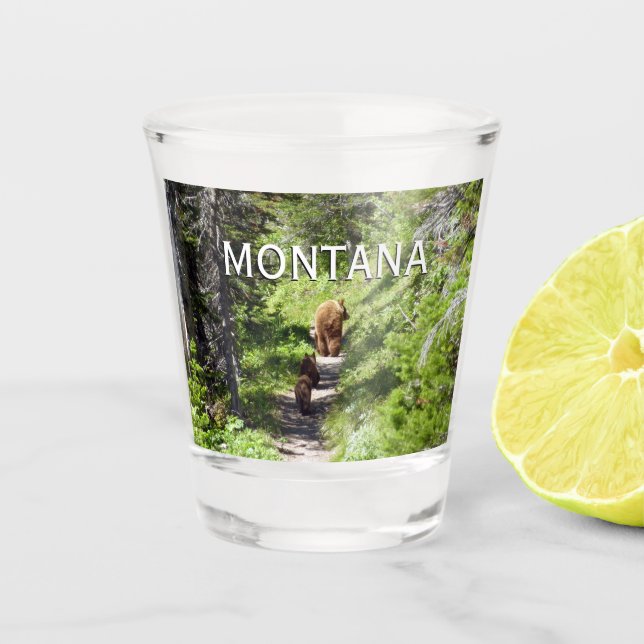 Vaso De Chupito Familia de oso marrón (Anverso)