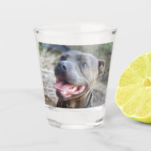 Vaso De Chupito Feliz Staffordshire Bull Terrier, vidrio caliente