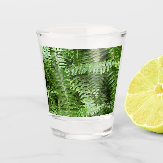 Vaso De Chupito Fern Fronds I Green Nature (Anverso)