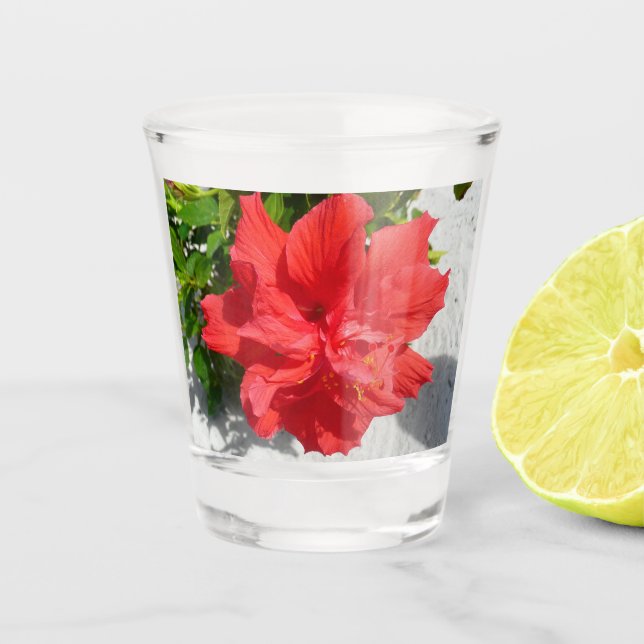 Vaso De Chupito Flor doble roja hibiscus (Anverso)