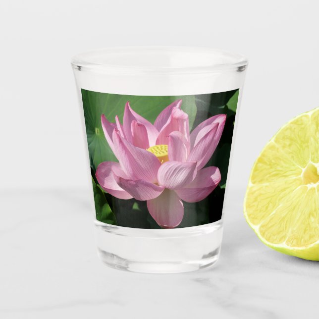 Vaso De Chupito Flor rosa Lotus IV (Anverso)