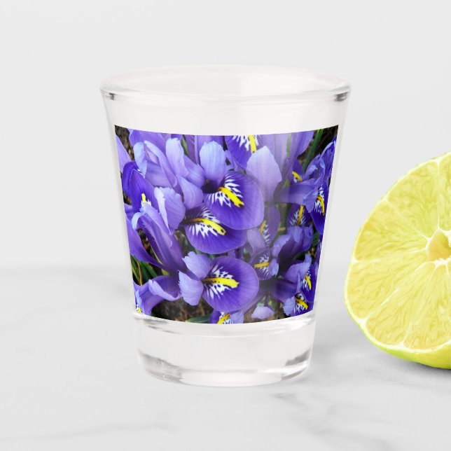 Vaso De Chupito Floral de primavera de irlandeses azules en miniat (Anverso)
