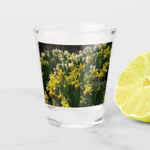 Vaso De Chupito Flores de primavera de los Daffodils amarillos y b
