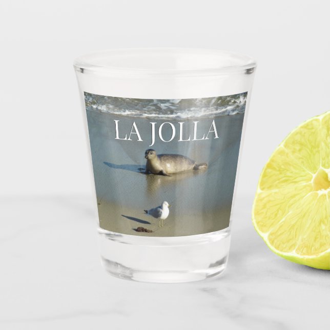 Vaso De Chupito Foca común en La Jolla California (Anverso)