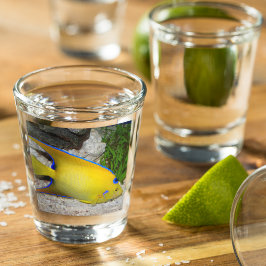 Vaso De Chupito Foto de Angelfish de Reina amarillo y azul