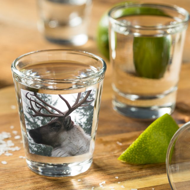 Vaso De Chupito Foto de Antlered Caribou (In Situ)